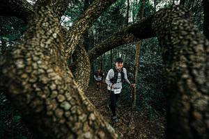 BIB: 
                            <button type="button" onclick="openModal(25393635)" class="btn btn-primary btn-sm float-right btn-popup" data-toggle="modal" data-target=".modal-high-quality">
                        <i class="fas fa-shopping-cart"></i> Add to Cart
                    </button>
                                            <button type="button" onclick="isThisMe(25393635, true)" class="btn btn-success btn-sm float-right btn-popup btn-isme hidden" data-toggle="tooltip" data-placement="bottom" title="นี่คือรูปของคุณใช่ไหม คลิกที่นี่เพื่อเอาเข้าอัลบั้ม">
                        <i class="fas fa-plus"></i> Add to album
                    </button>
                    <button type="button" onclick="isThisMe(25393635, false)" class="btn btn-warning btn-sm float-right btn-popup btn-isnotme hidden">
                        <i class="fas fa-ban"></i> Remove from album
                    </button>